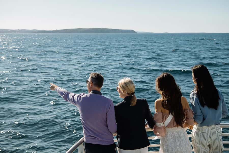 Sydney: Whale Watching & Wildlife Cruise - More than whales: the dolphins, seals, birds, and quiet surprises