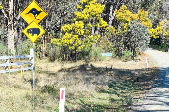Sydney Wildlife Safari - Private farmland plus the Great Western Wildlife Corridor