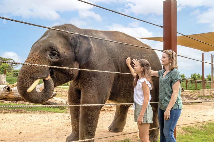 Sydney Zoo Admission Ticket - Viewing Comfort on Hot Days: Misting, Shade, and Dust