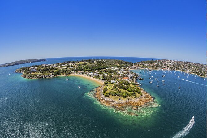 Taronga Zoo + Ferry Return Ticket - Ferry experience: views are the win, schedules are the fine print