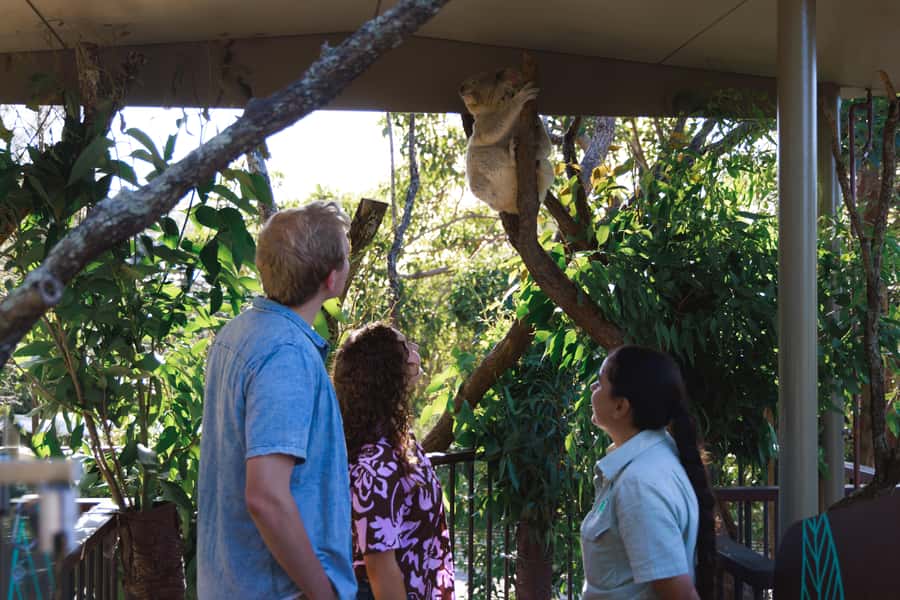 Taronga Zoo Sydney Wild Australia Experience - Entering Taronga’s Australian Nightlife world in 2 hours