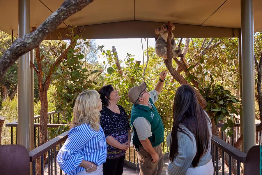 Taronga Zoo Sydney Wild Australia Experience - Platypus, nocturnal animals, and the keeper lessons that stick