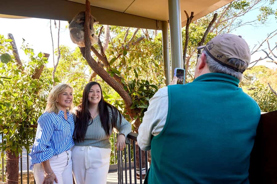 Taronga Zoo Sydney Wild Australia Experience - Who should book this, and who might prefer a different zoo plan