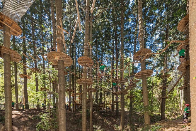 Treetops Adventure The Hills - Tree Ropes Course - Key things to know before you go