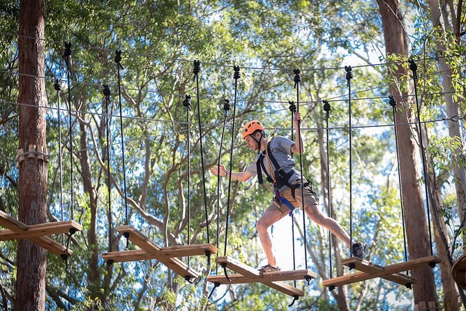Treetops Adventure The Hills - Tree Ropes Course - Choosing the right course: easier lanes to big challenges