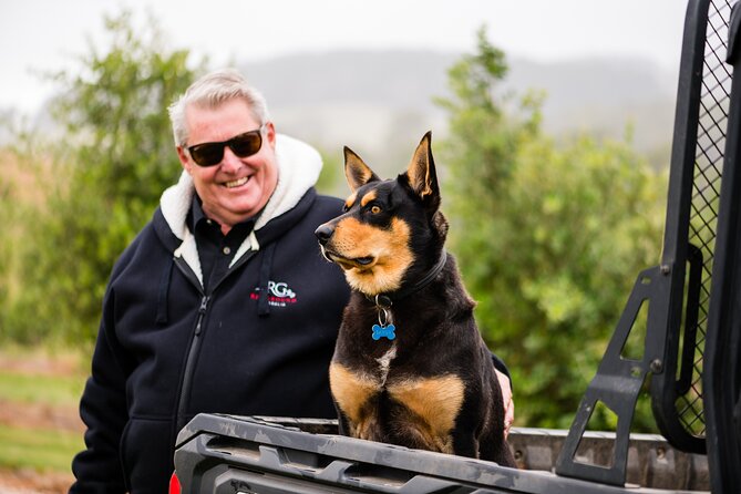 Truffle Hunt and Taste Experience in Oberon, NSW Australia - Fresh truffles for sale: turning lessons into dinner