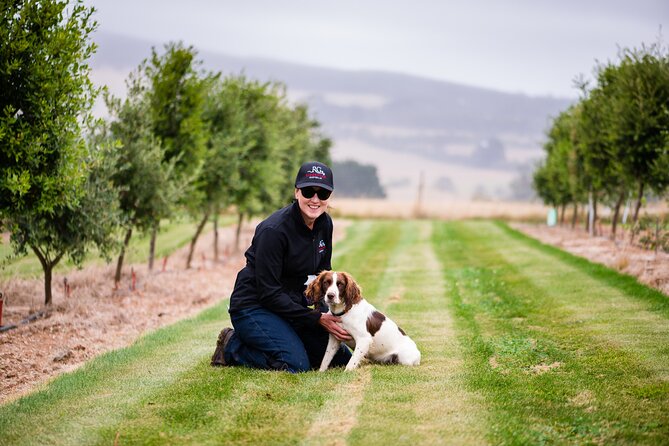 Truffle Hunt and Taste Experience in Oberon, NSW Australia - Arrival at the lodge: tastings first, education right away