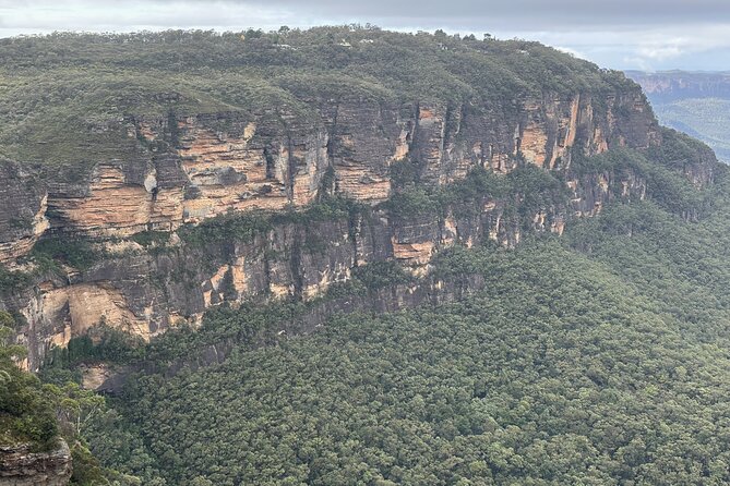 Ultimate All Inclusive Blue Mountains with Scenic World Tour - Scenic World’s Cable Cars and Rainforest Walk: The Day’s Main Event