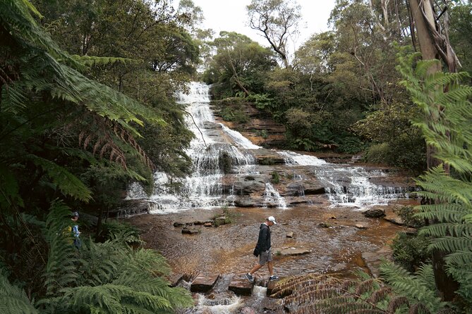 Ultimate All Inclusive Blue Mountains with Scenic World Tour - Sydney Zoo and the Koala Digital Photo: Fun, Fast, and Weather-Dependent