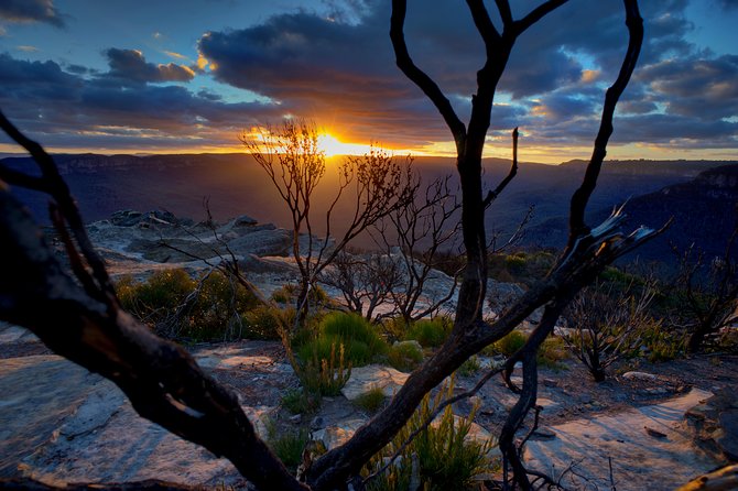 Ultimate Blue Mountains and Wildlife Tour - What makes this Blue Mountains wildlife tour work so well