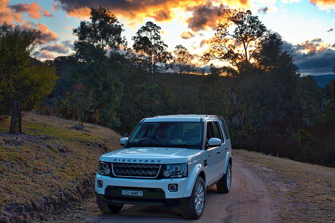 Ultimate Blue Mountains and Wildlife Tour - Glenbrook and Blue Mountains National Park: where the wildlife time happens