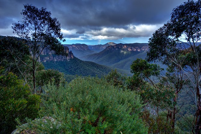 Ultimate Blue Mountains and Wildlife Tour - Leura lunch break: plan your own meal, then get back into the mountains