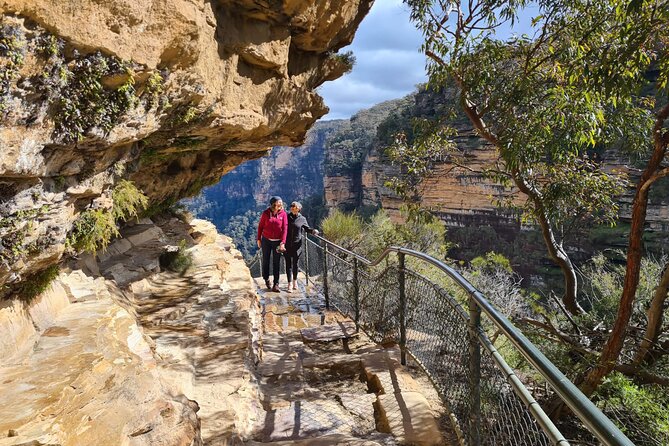 Ultimate Blue Mountains Private Tour with Scenic World and Wildlife Park - Private Tour Comfort: Pickup, Seatbelts, and a Guide Who Keeps It Moving