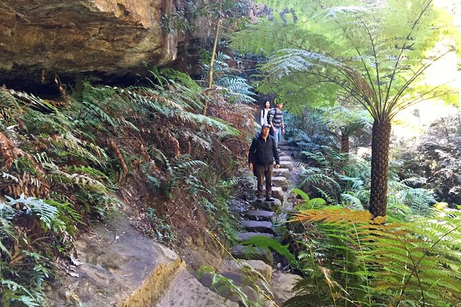 Ultimate Blue Mountains Private Tour with Scenic World and Wildlife Park - Leura Mall and Lunch at a Rustic Cafe: The Reset Your Day Needs