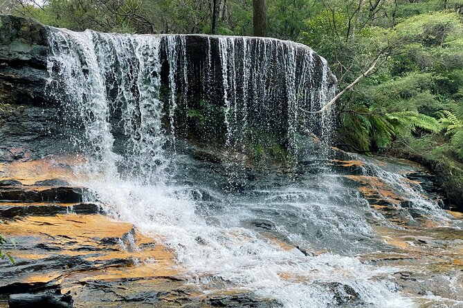 Ultimate Blue Mountains Private Tour with Scenic World and Wildlife Park - Featherdale Wildlife Park: Koalas, Kangaroos, and the Easy Photo Win