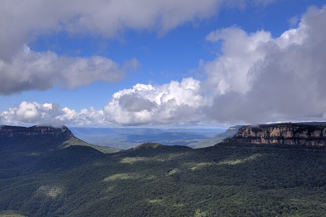 Unforgettable Blue Mountains Day Tour - Price and Value: What You’re Actually Paying For