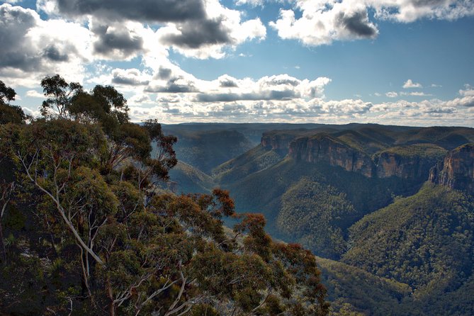 Unforgettable Blue Mountains Day Tour - Who This Tour Is Best For (And Who Might Prefer Something Else)