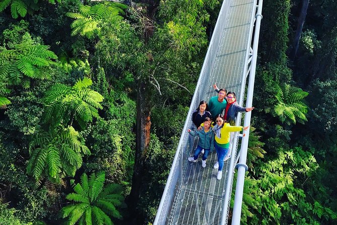 Waves Waterfalls and Wineries Full-Day Southern Highlands Private Tour - Georgian-era towns and a winery lunch that sets the tone