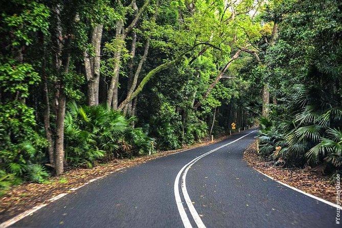 Waves Waterfalls and Wineries Full-Day Southern Highlands Private Tour - Coastal highways, Illawarra views, and the slow climb toward the Southern Highlands