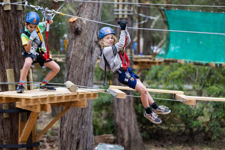 Western Sydney: Junior Tree Ropes Courses - Western Sydney Parklands treetops for ages 3 to 7