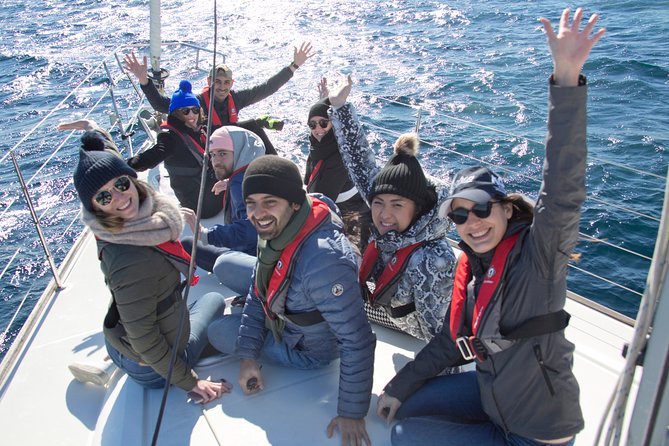Whale Watching Sailing Experience in Sydney - Where You Go for Whales: Port Jackson and the Migration Season