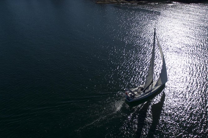 Whale Watching Sailing Experience in Sydney - Price and Value: Is $71.01 Worth It?
