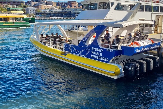 Whale Watching Sydney - Key things I’d watch for on this Whale Watching Sydney cruise