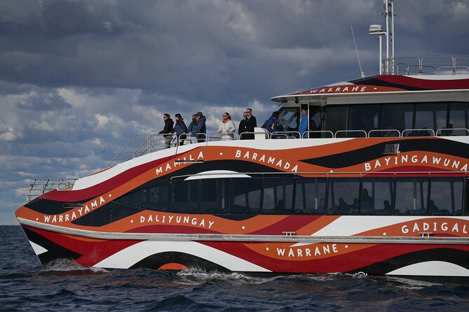 Whale Watching Sydney 2-Hour Express Cruise - Whale Watching Reality Check: Sightings, Weather, and Seasickness
