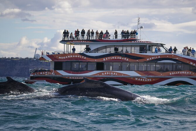 Whale Watching Sydney 2-Hour Express Cruise - Price and Value: Is $57.72 Worth It?