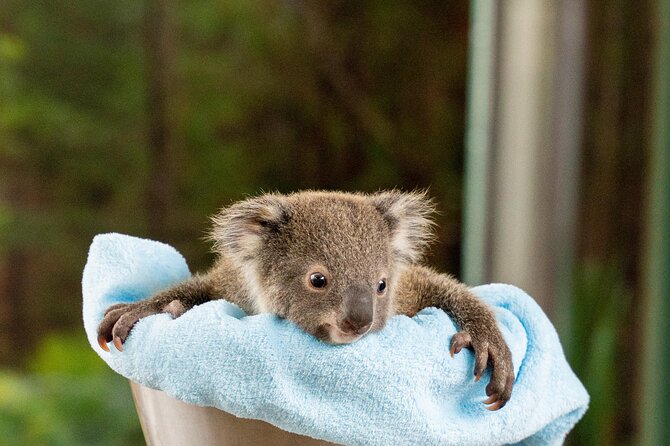 WILD LIFE Sydney Entrance Ticket - The nine habitats route: from wallaby cliffs to Kakadu-style crocodiles