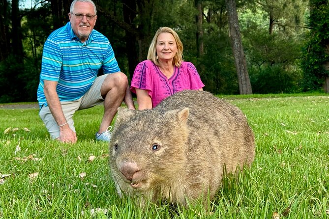 WILD Wombat and Kangaroo Day Tour, All Inclusive - Key points before you go