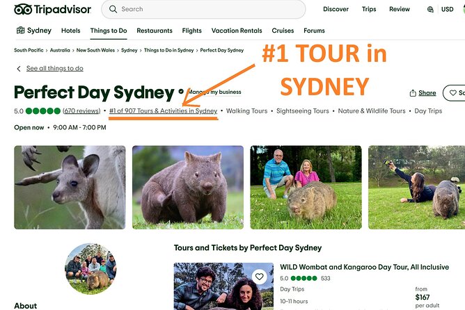 WILD Wombat and Kangaroo Day Tour, All Inclusive - A small-group day out of Sydney that actually feels like the bush