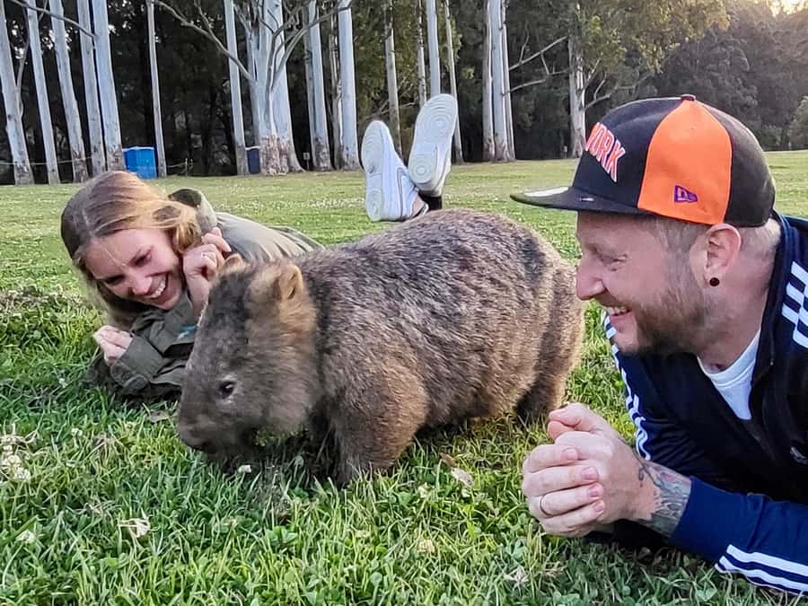 WILD Wombats and Kangaroo Experience, All Inclusive, Sydney - Key highlights worth planning around