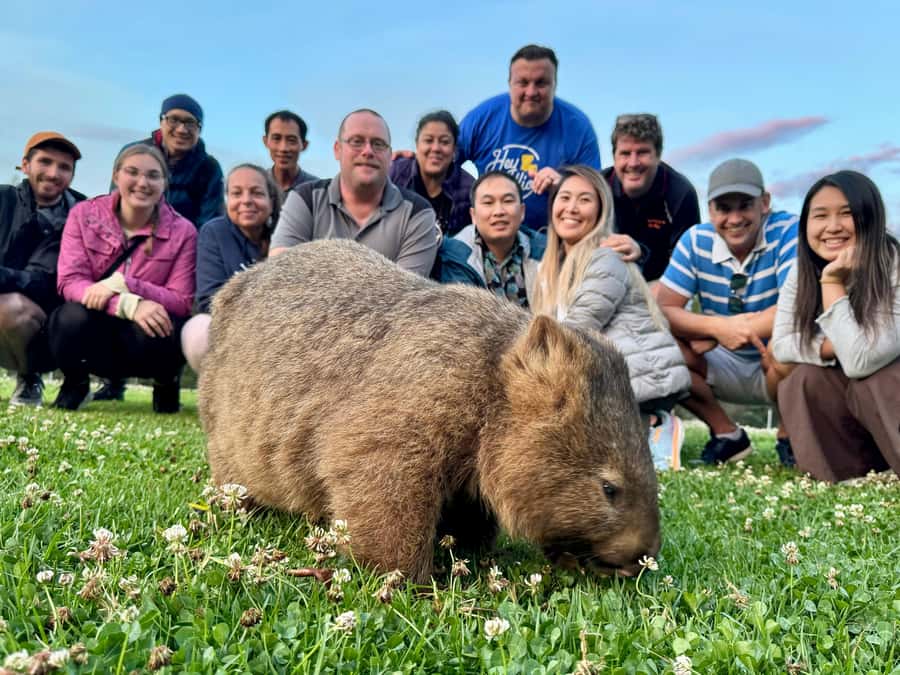 WILD Wombats and Kangaroo Experience, All Inclusive, Sydney - Night in the wild: stargazing in low-light skies