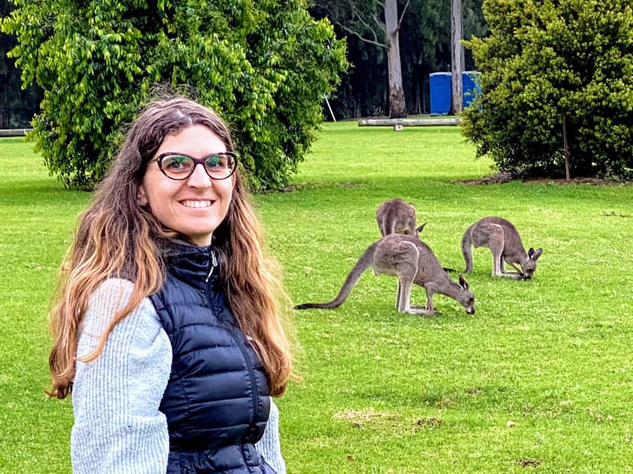 WILD Wombats and Kangaroo Experience, All Inclusive, Sydney - Why this wombat-and-kangaroo day feels different