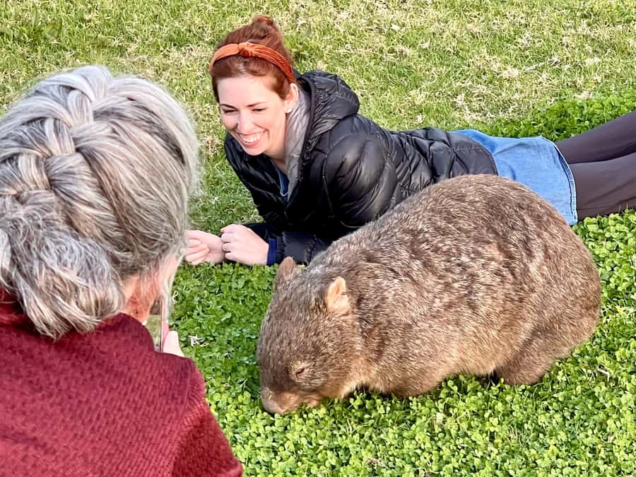WILD Wombats and Kangaroo Experience, All Inclusive, Sydney - Morton National Park: the in-between stop that sets up the highlight