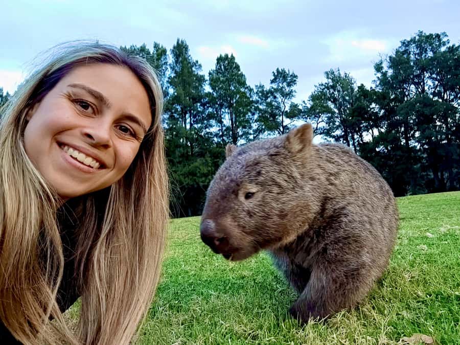 WILD Wombats and Kangaroo Experience, All Inclusive, Sydney - The pub dinner moment: comfort after wildlife focus