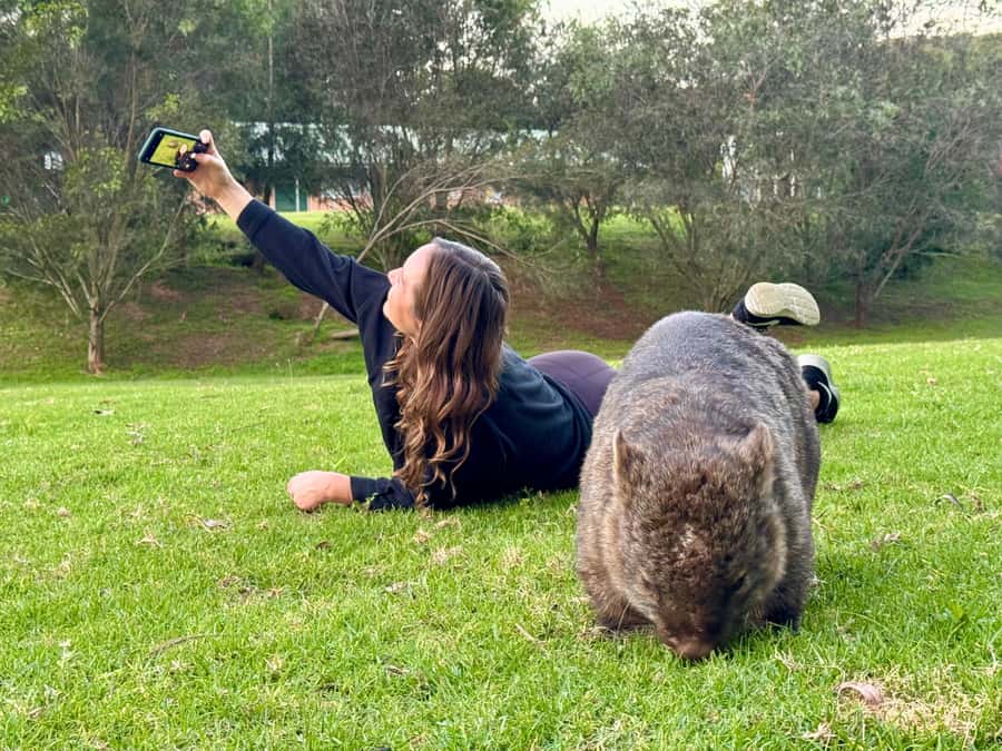 WILD Wombats and Kangaroo Experience, All Inclusive, Sydney - Getting on the bus: pickup points and what to expect