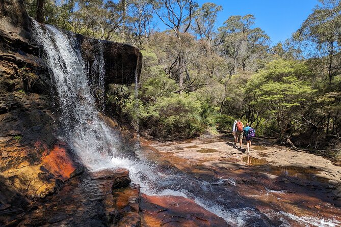 Wilderness, Waterfalls, Three Sisters BLUE MOUNTAINS PRIVATE TOUR - Wentworth Falls lookout: canyon views and real waterfall photo time