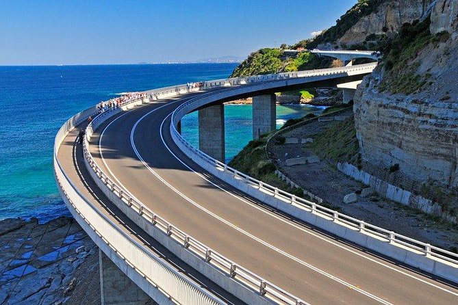 Wildlife, Wine & Waves – Epic South Coast Adventure from Sydney - Key Highlights Worth Your Time