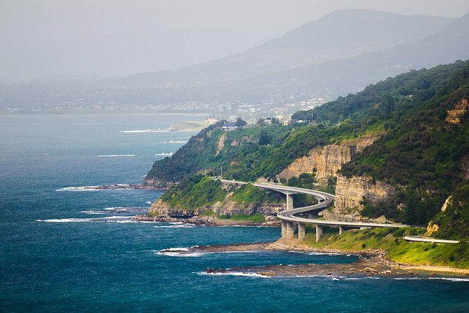 Wildlife, Wine & Waves – Epic South Coast Adventure from Sydney - Bare Island and Stanwell Tops: Small Stops With Big Payoff