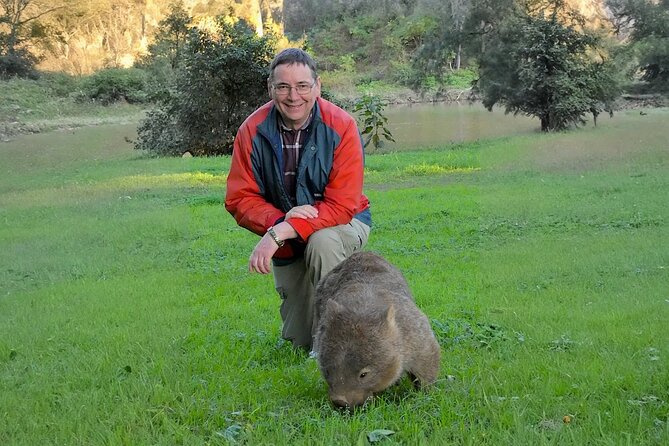 Wombat and Kangaroo Wildlife Tour from Sydney - Price, Value, and What’s Actually Included