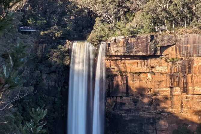 Wombat and Kangaroo Wildlife Tour from Sydney - Mount Keira Lookout Over Wollongong: The Perfect First Reset