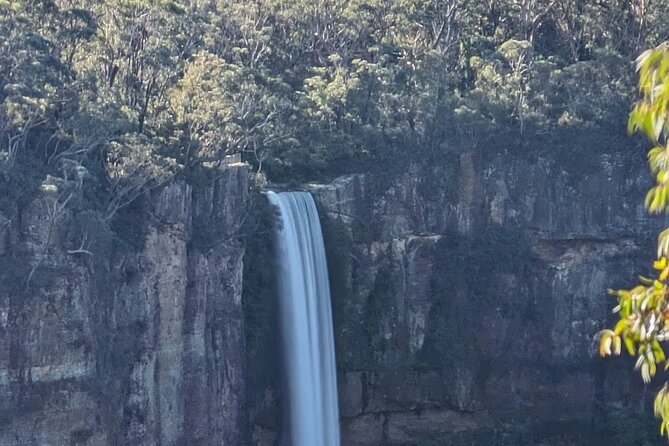 Wombat and Kangaroo Wildlife Tour from Sydney - Hampden Bridge: The 1895 Wooden Suspension Bridge Stop