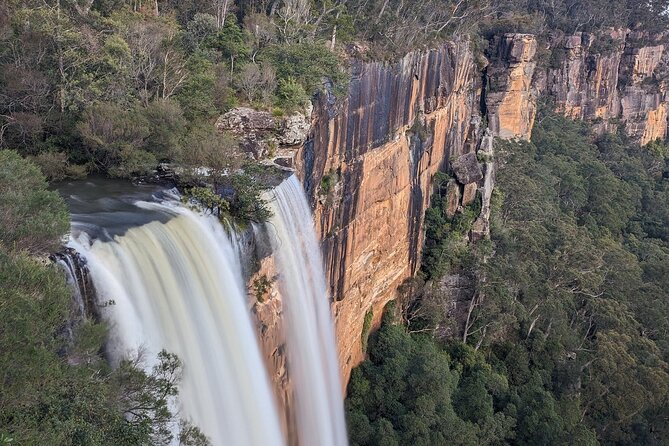 Wombat and Kangaroo Wildlife Tour from Sydney - Kangaroo Valley Wildlife Time: Where the Day Earns Its Name
